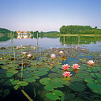 chốt lô chuẩn