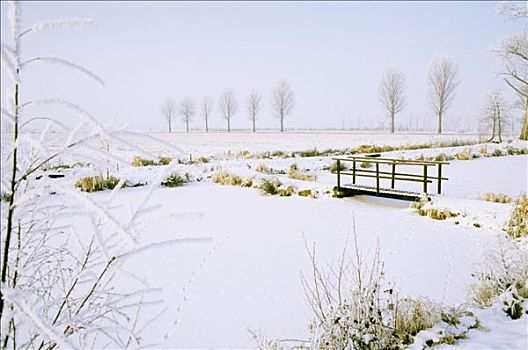 cau bach thu xsmb hom nay