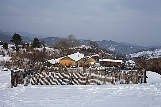 soi cau kep ngon