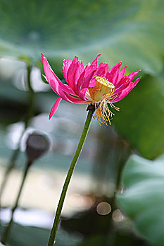 dự đoán xổ số miền bắc hôm nay