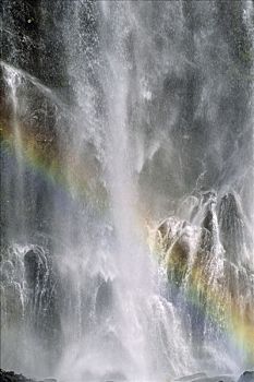 soi cau rong bach kim hom nay