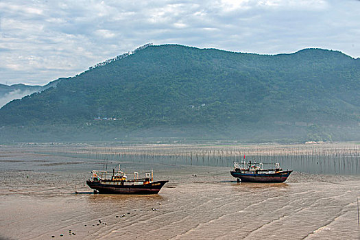 tỷ lệ ăn 3 càng