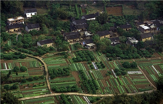 soi cau gio vang