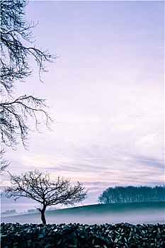 xs888 mien phi