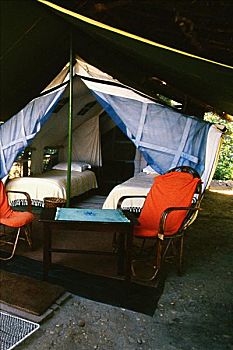 điện toán 123