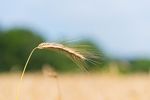 xổ số long an tuần trước