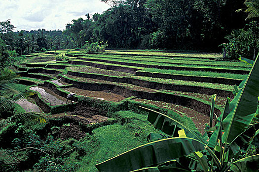 soi cầu xổ số kiên giang