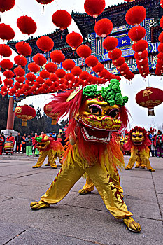 soi cầu xổ số long an
