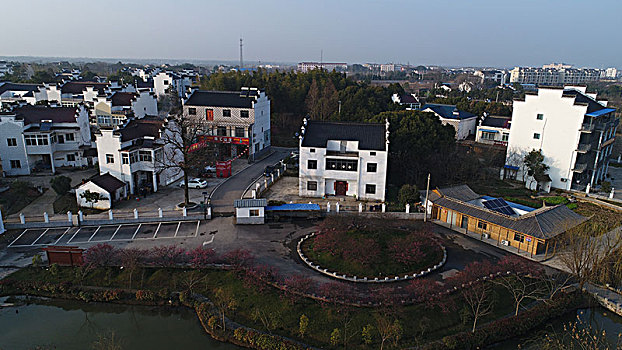 cau bach thu 888