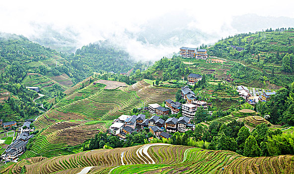 soi cau dac biet 368