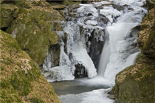 soi cau bach thu khung 3 ngay
