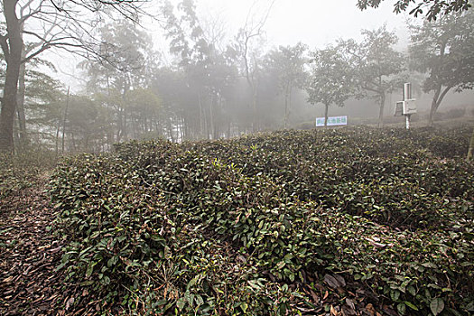 lô khung 5 ngày