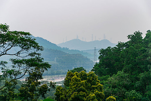 dàn đề