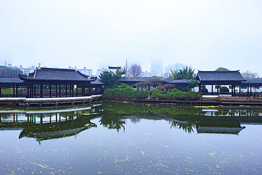 soi cau bach rong kim