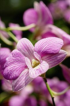 du doan xổ số miền bắc