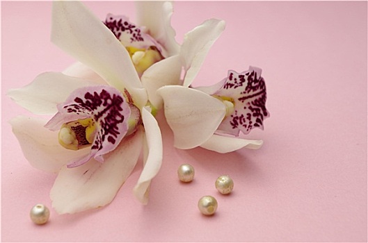 dự đoán xổ số 3