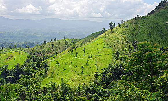 bach thu mien phi