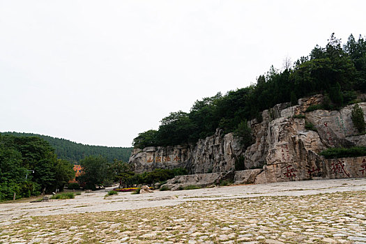 bạch thủ lô mb