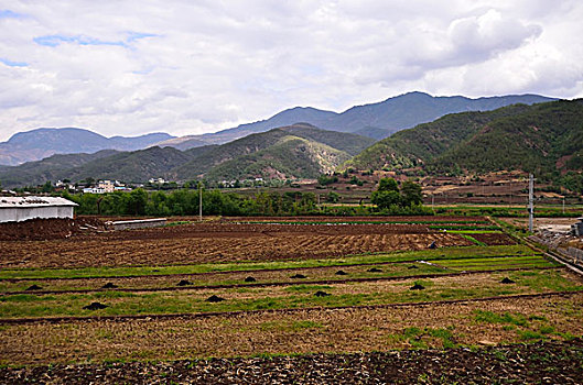 cách soi lô chuẩn