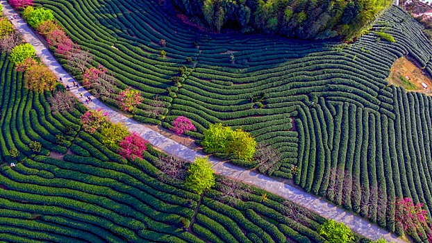 cách đánh đề 3 càng