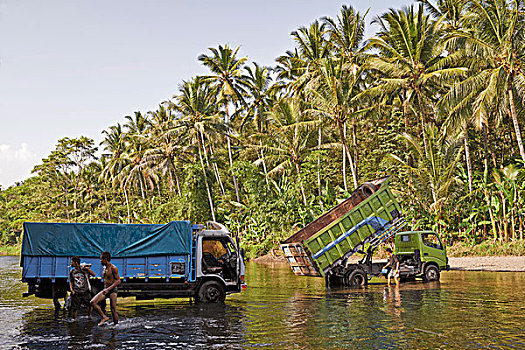 lo bạch thủ hôm nay