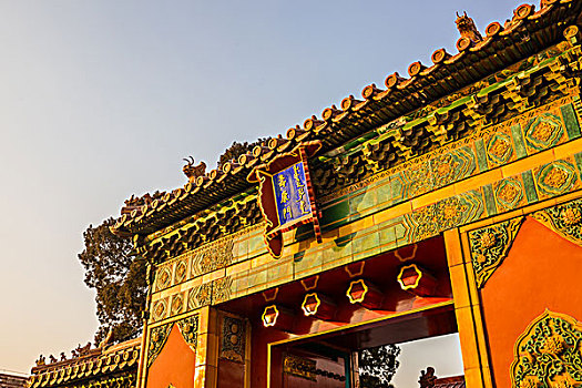 bach thu khung 3 ngay