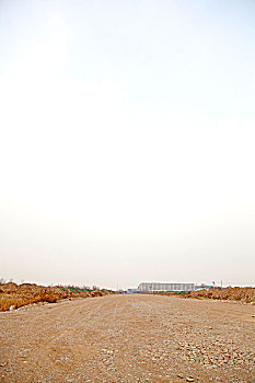 xs bình định