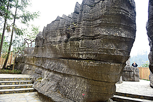 cường đại phát 6868