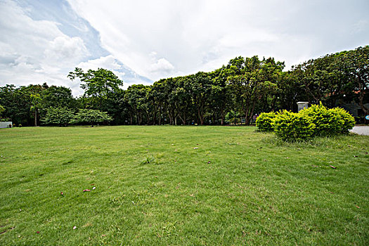 4 số vip